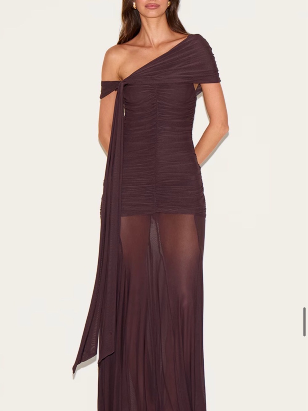 Brown Lined Mesh Bardot Maxy Dress